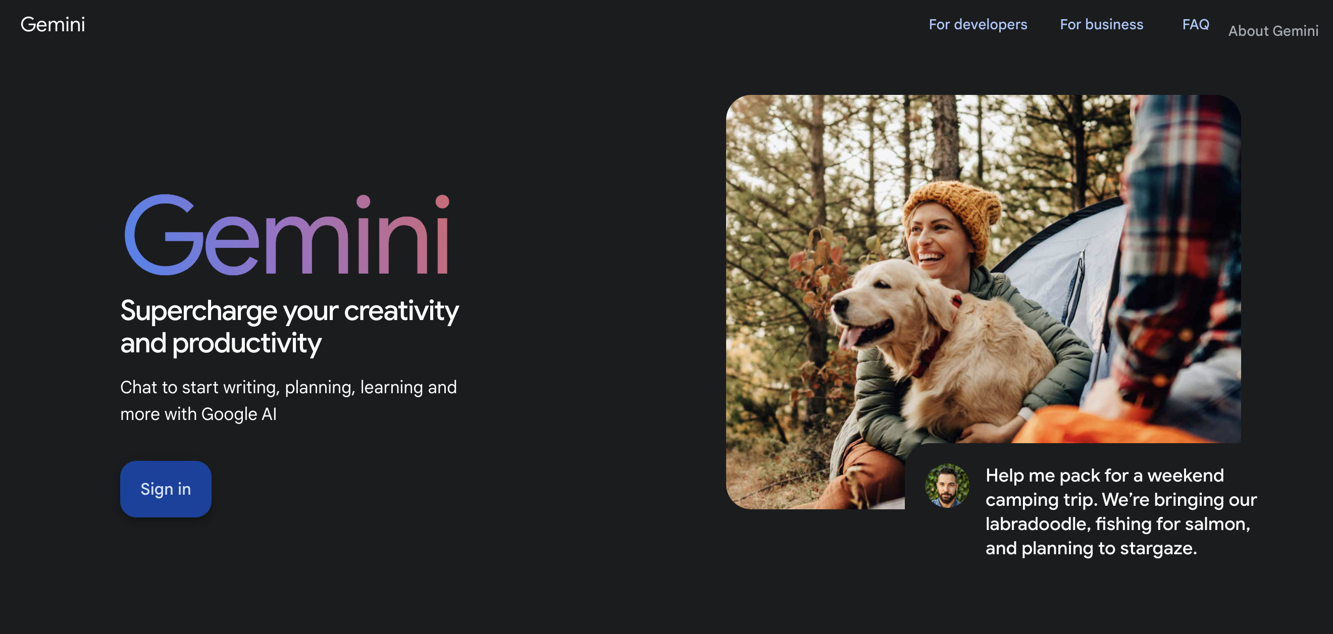 Screenshot of Gemini 2.0 Homepage